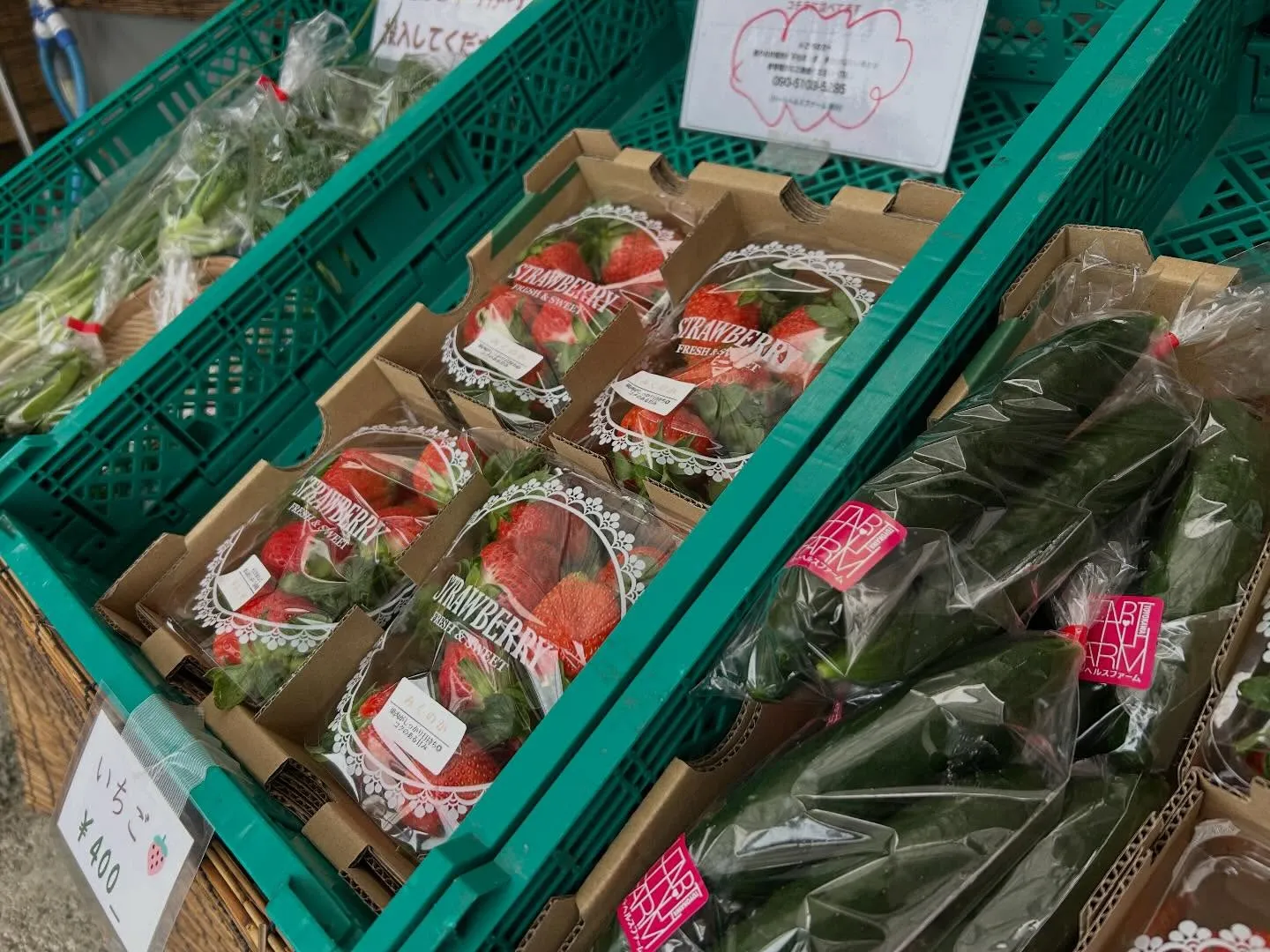 3月も終わり、いよいよ4月、春が本格的にやってきますね。